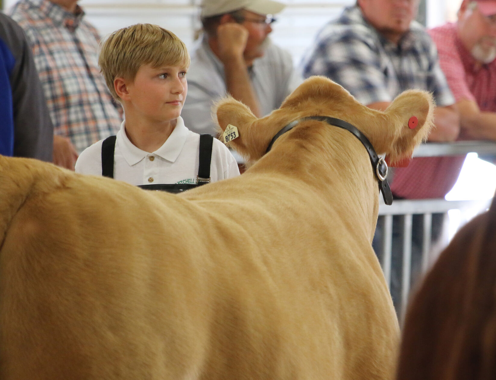 PHOTOS: Market Beef Show 2020